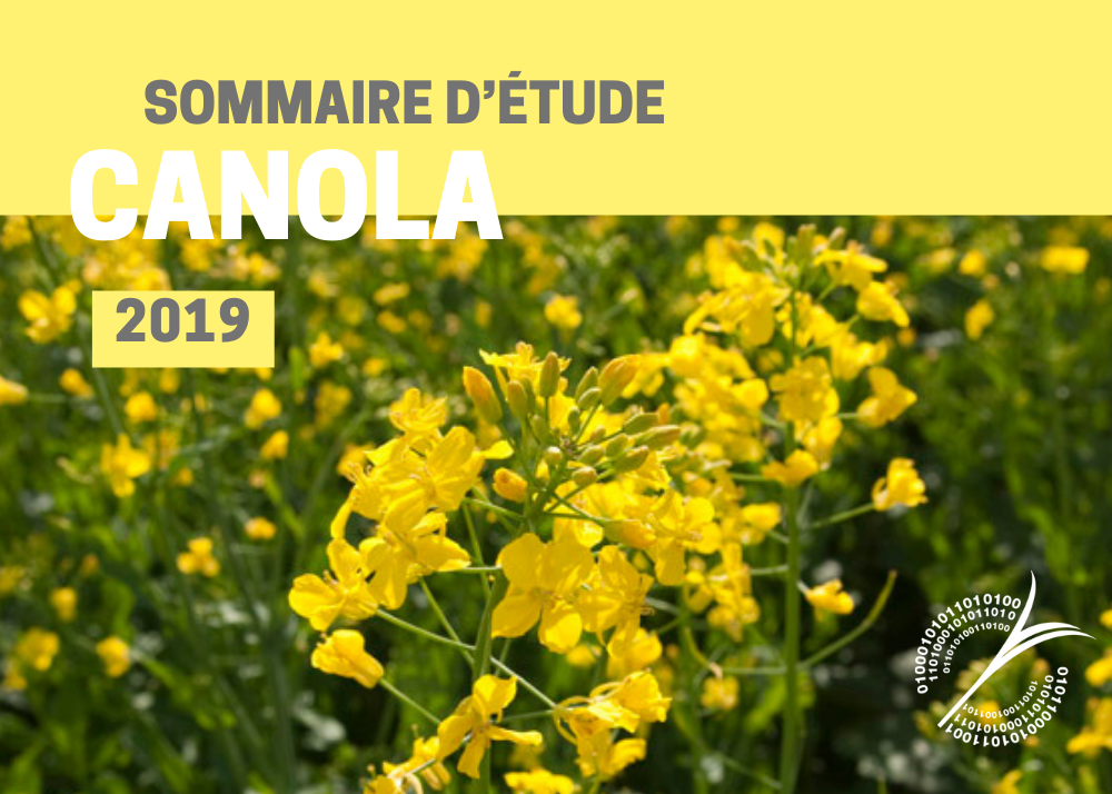 Études de coûts de production : SOMMAIRE - COÛT DE PRODUCTION - CANOLA 2019